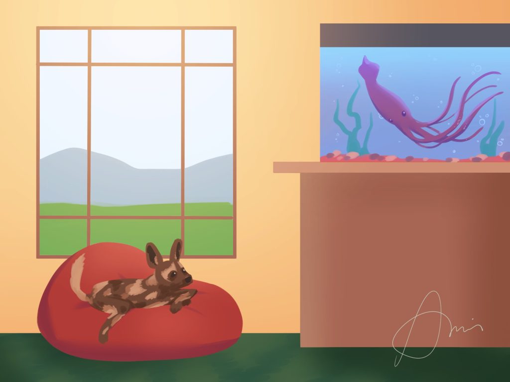 Drawing of the inside of house with a Painted Wild Dog in a bean bag chair resting next to a tank with a Giant Squid